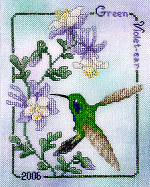 Green Violet-Ear Hummingbird 26-Crossed Wing Collection-