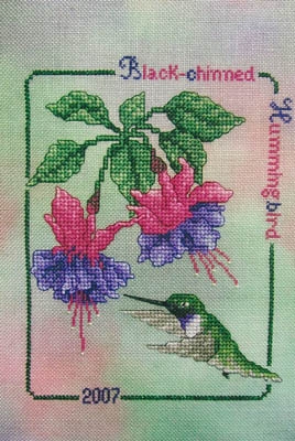 Black Chinned Hummingbird 2007-Crossed Wing Collection-