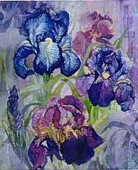 Iris-QS-Heaven And Earth Designs-