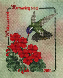 White-Eared Hummingbird (2010)-Crossed Wing Collection-