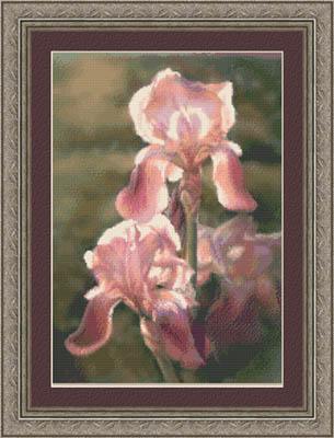 Sunlit Irises-Kustom Krafts-