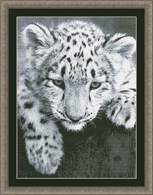 Black And White Leopard-Kustom Krafts-