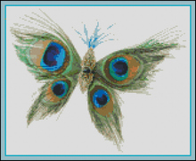 Beautiful Peacock-Paula's Patterns-