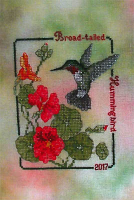 Broad Tailed Hummingbird (2017 Commemorative)-Crossed Wing Collection-