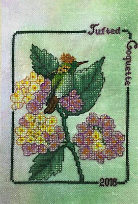 Tufted Coquette (2018 Commemorative)-Crossed Wing Collection-