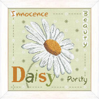 Daisy-Lilipoints-