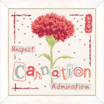 Carnation-Lilipoints-