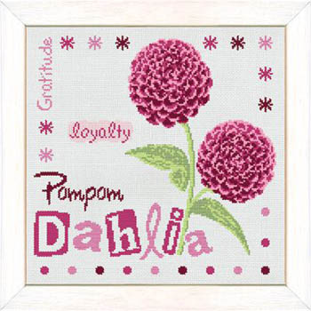 Pompom Dahlia-Lilipoints-