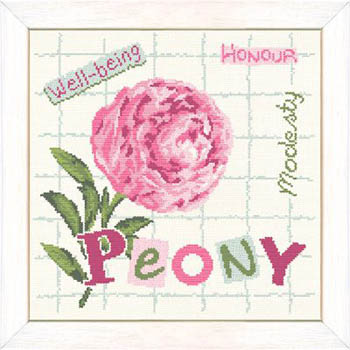 Peony-Lilipoints-