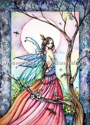 Dragonflies Whisper-Heaven And Earth Designs-