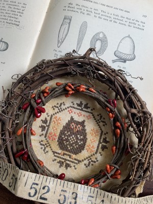 Quirky Quaker-Owl-Darling & Whimsy Designs-