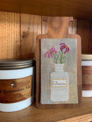 Perennial Potions-Echinacea-Darling & Whimsy Designs-