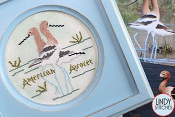 American Avocet Bird Crush Club-Lindy Stitches-