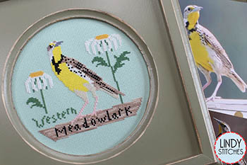 Western Meadowlark Bird Crush Club-Lindy Stitches-