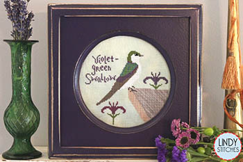 Violet Green Swallow-Lindy Stitches-